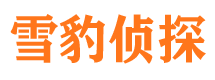 八宿市场调查